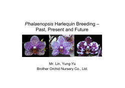 Phal