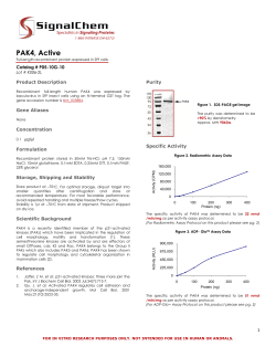 PAK4 Kinase Datasheet Lot# K006-2L