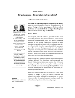 Grasshoppers &ndash; Generalists to Specialists?