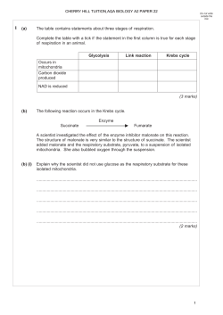 4 (a) The table contains statements about three stages of respiration