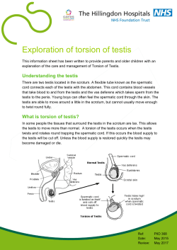 Exploration of torsion of testis