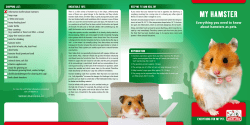 Everything for your Hamster pdf