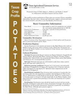 Texas Crop Profile - Potatoes - Extension Educationin Live Oak