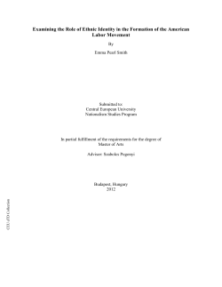 Examining the Role of Ethnic Identity in the Formation of the