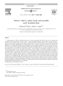Africa`s wild C4 plant foods and possible early