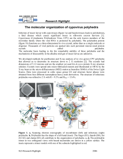 The molecular organization of cypovirus polyhedra