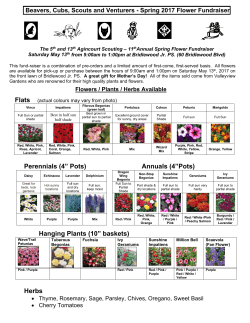 Perennials (4&rdquo; Pots) Annuals (4&rdquo;Pots) Hanging Plants (10&rdquo; baskets