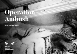 Here - Wildlife Justice Commission