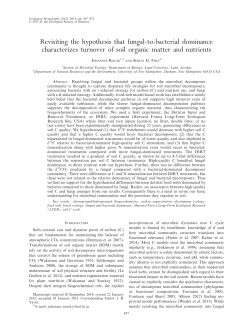 Revisiting the hypothesis that fungal-to-bacterial