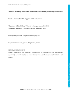 Anaphase asymmetry and dynamic repositioning of the division