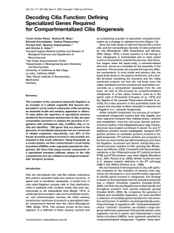 Decoding Cilia Function: Defining Specialized Genes Required for