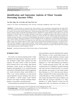 Identification and Expression Analysis of Wheat Vacuolar