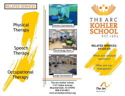 Physical Therapy Speech Therapy Occupational