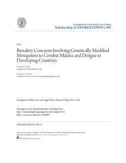 Biosafety Concerns Involving Genetically Modified Mosquitoes to