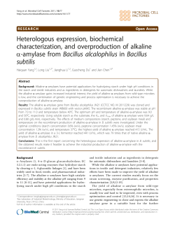 Heterologous expression, biochemical characterization, and