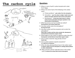 The carbon cycle Questions