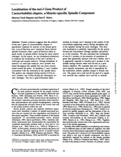 Localization of the mei-1 Gene Product of Caenorhabditis elegans, a