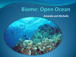 Biome: Open Ocean