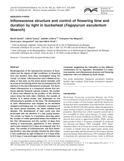 Inflorescence structure and control of flowering