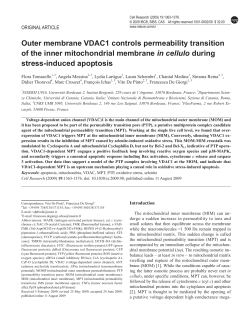 Outer membrane VDAC1 controls permeability transition of the inner
