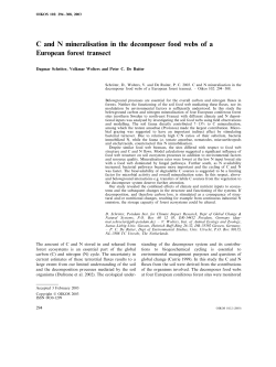 C and N mineralisation in the decomposer food webs of a European