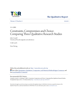 Constraints, Compromises and Choice: Comparing Three