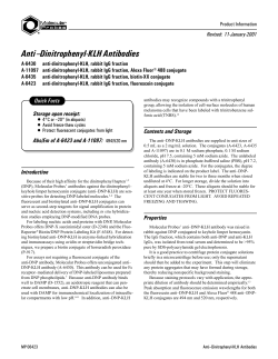 Anti-Dinitrophenyl-KLH Antibodies