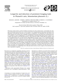 Longevity and detection of persistent foraging trails in Pharaoh`s