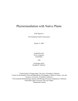 Phytoremediation with Native Plants