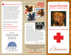 blood bank brochure - Animal Care and Assistance Fund