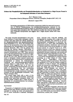 by replacing the CDP-[W4C]choline with 0.7juM-