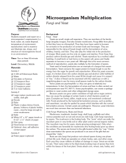 Microorganism Multiplication - Utah Agriculture in the Classroom