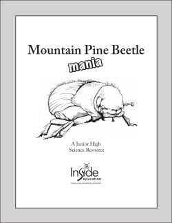 Pine Beetle Mania Activity
