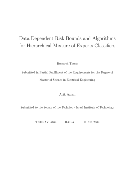 Data Dependent Risk Bounds and Algorithms for Hierarchical