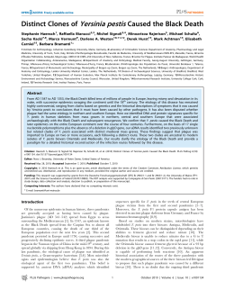 Distinct Clones of Yersinia pestis Caused the Black Death