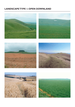 landscape type 1: open downland