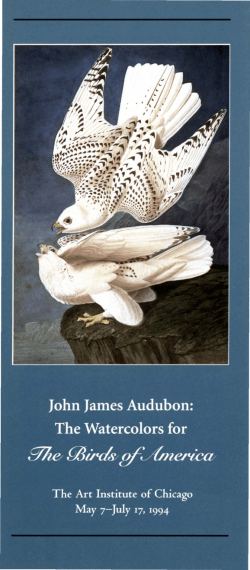 John James Audubon, the watercolors for The Birds of America.