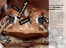 Chirp, Croak, Snore