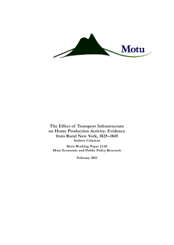 The Effect of Transport Infrastructure on Home Production Activity