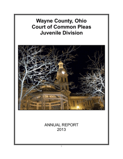 2013 Annual Report - Wayne County Ohio Probate and Juvenile Court