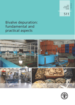 Bivalve depuration - Food and Agriculture Organization of the United