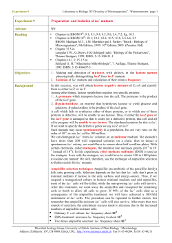 Experiment 9 Preparation and Isolation of lac- mutants