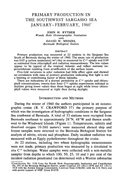 Primary Production in the Southwest Sargasso