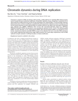 Chromatin dynamics during DNA replication