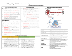 Topic B: Is dreaming meaningful?