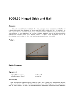 1Q20.50 Hinged Stick and Ball