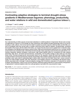 Contrasting adaptive strategies to terminal
