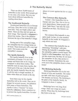 2: The Butterfly World