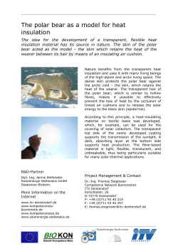 The polar bear as a model for heat insulation