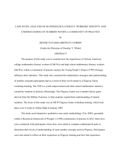 Case study analysis of mathematics literacy workers` identity and